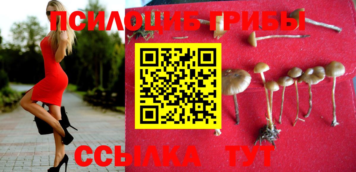 Галлюциногенные грибы Magic Shrooms  Вход с VPN  Петровск  Галлюциногенные грибы GOLDEN TEACHER 